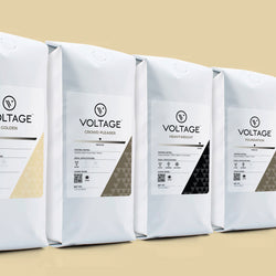 Voltage Coffee Whole Bean Sample Pack